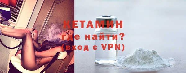 сатива Елабуга