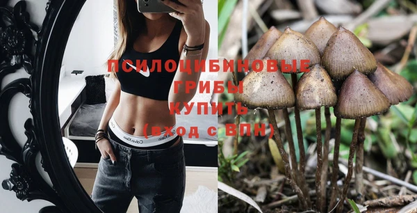 мяу мяу мука Дмитровск