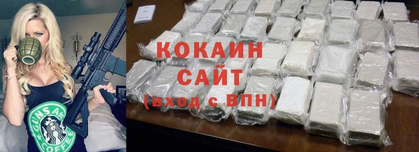 сатива Елабуга