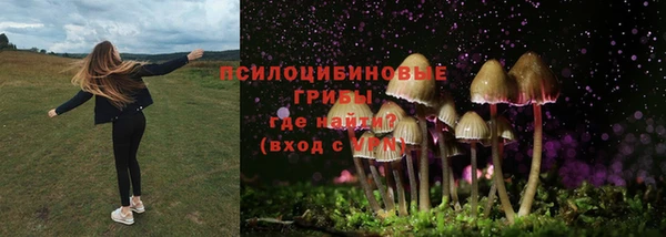 мяу мяу мука Дмитровск