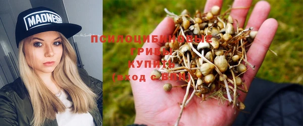 Альфа ПВП Дмитриев