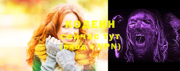 сатива Елабуга