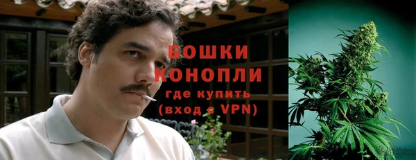 спайс Ельня