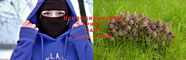 ALPHA PVP Дмитров