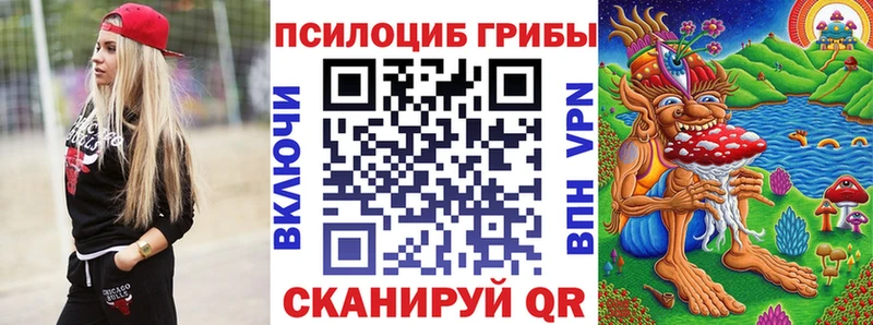 Купить закладки  Агрыз  Псилоцибиновые грибы Magic Shrooms 